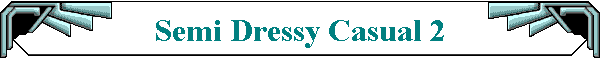 Semi Dressy Casual 2